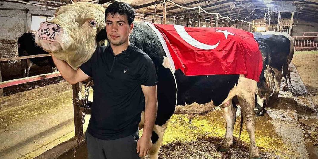 1.2 tonluk Ankara Paşa’sı! 650.000 TL’ye satıldı 1
